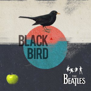 NS 1968 Blackbird